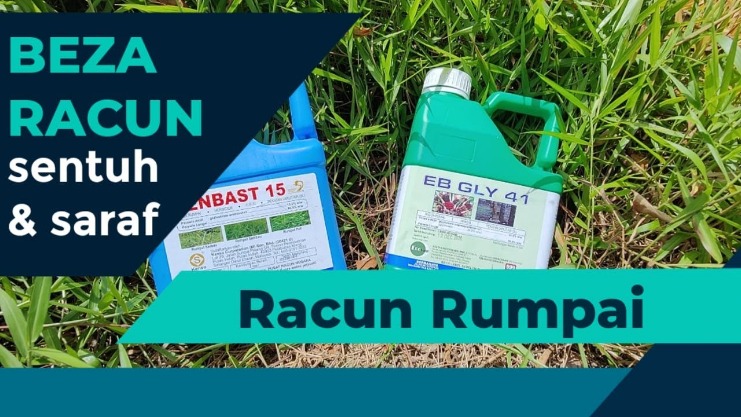racun saraf VX