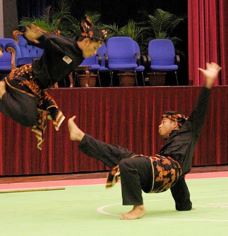 senjata bela diri ekstrem